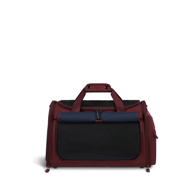 Pet carrier cats and dogs
